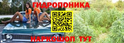 мяу мяу мука Ливны