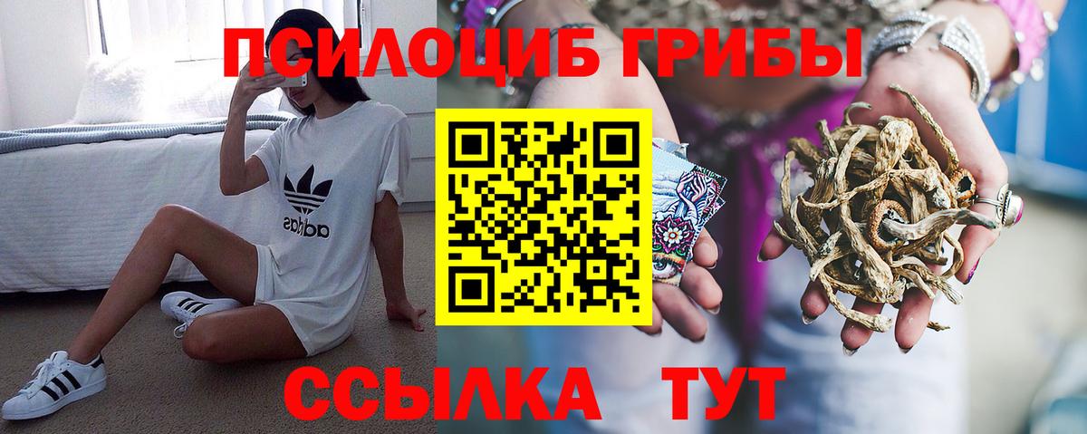 Улан-Удэ  Галлюциногенные грибы MAGIC MUSHROOMS  Вход с VPN  Псилоцибиновые грибы MAGIC MUSHROOMS 